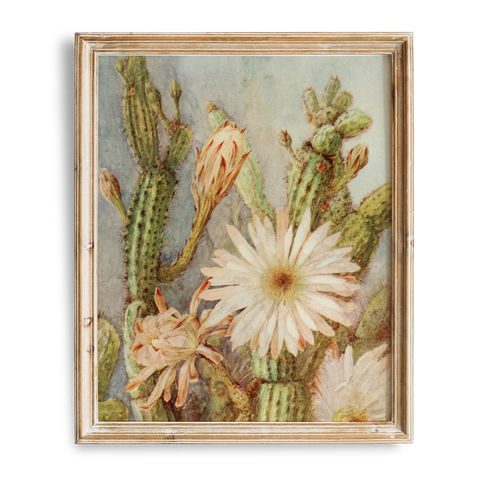 Vintage Cactus Painting | Desert Wall Art | Rustic Boh