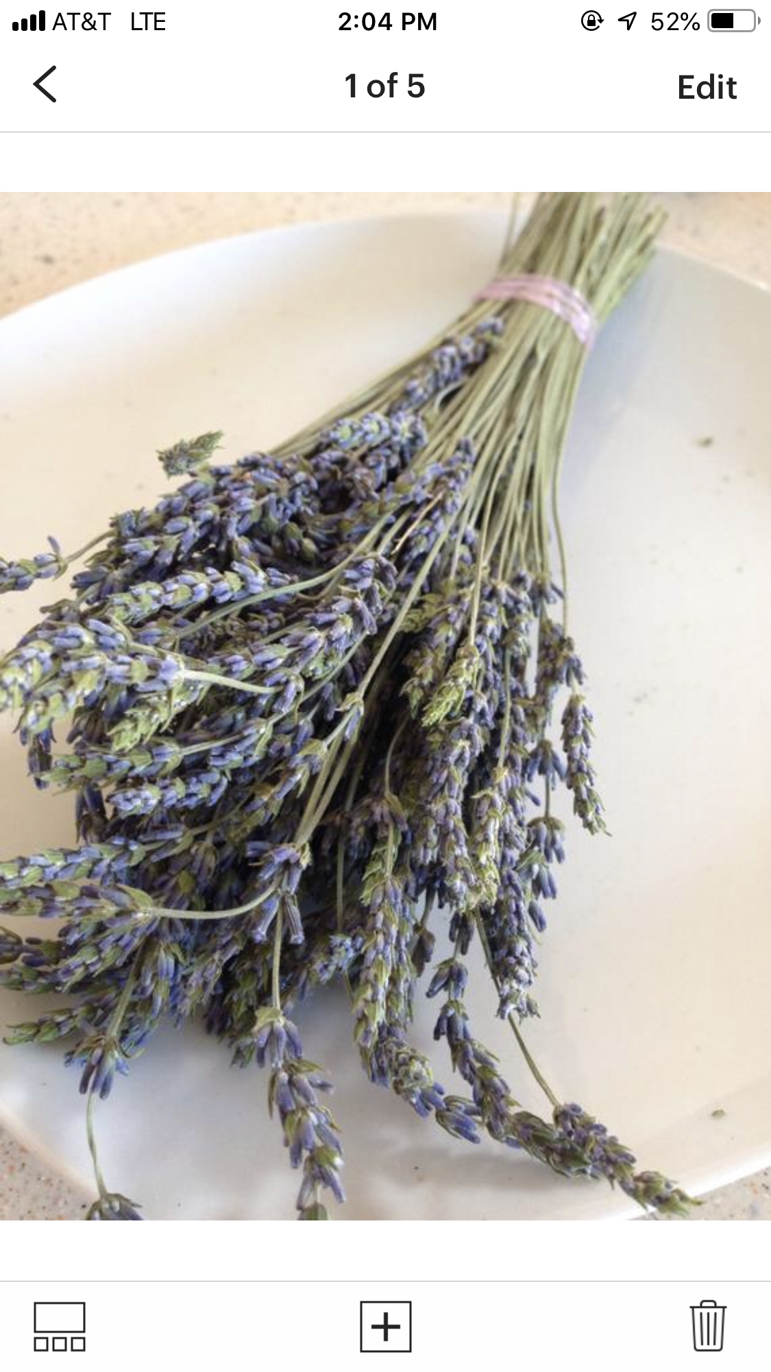 Dried lavender bunch- dried lavender bouquet- handpicked grosso and hycott giant lavender flowers