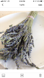 Dried lavender bunch- dried lavender bouquet- handpicked grosso and hycott giant lavender flowers