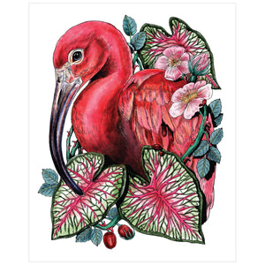 Ibis and Pink Floral Botanical Art Print 8x10