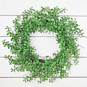 Evergreen Boxwood Wreath 22in