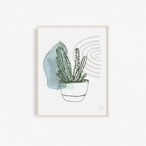 Prickly Succulent - Art Print