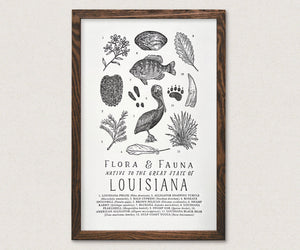 Louisiana Field Guide