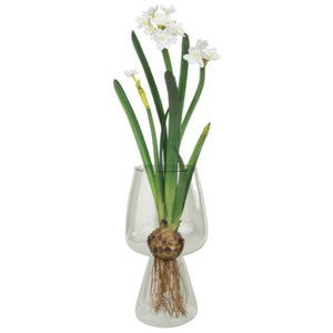 Bulb Vase, Glass