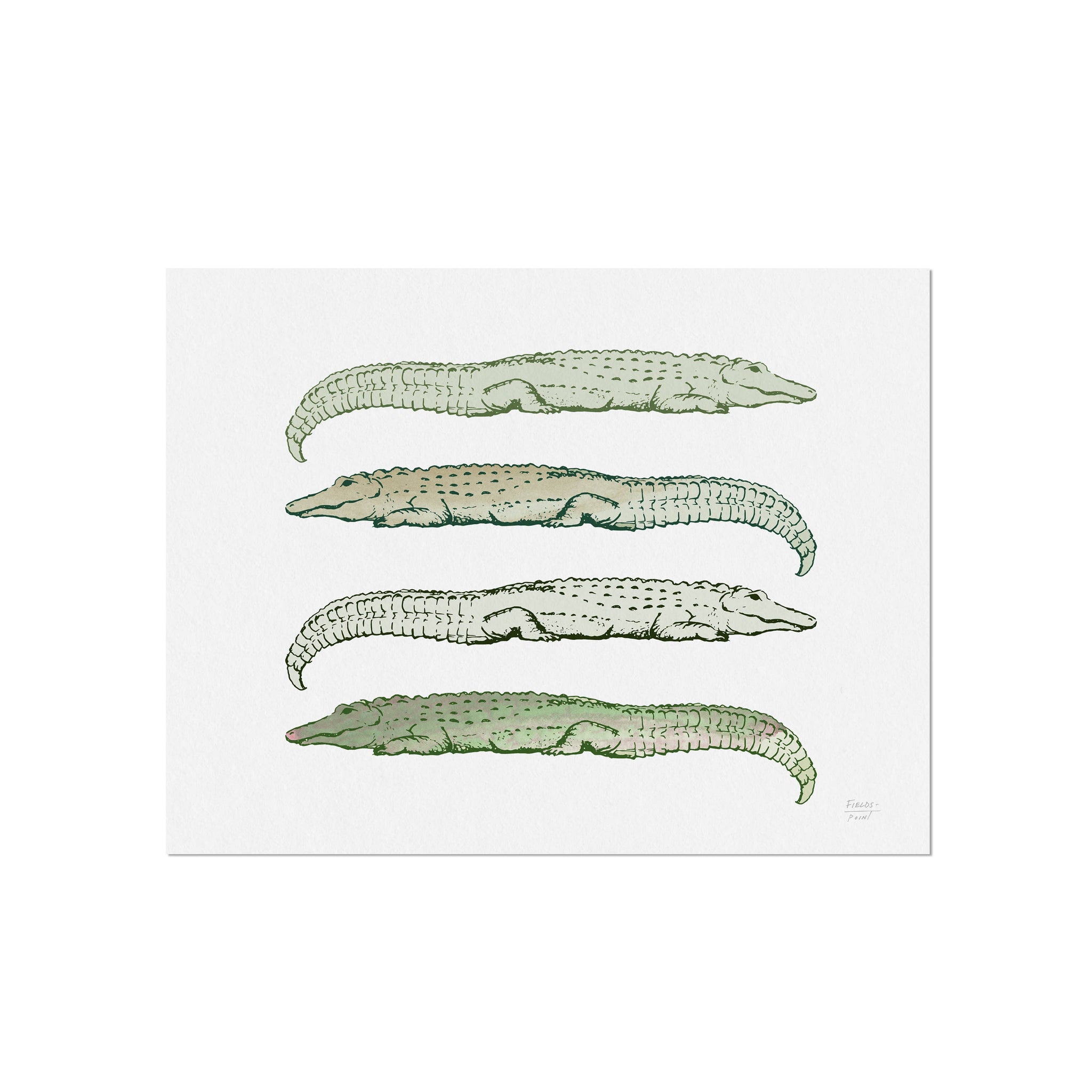Lazy Alligators Art Print