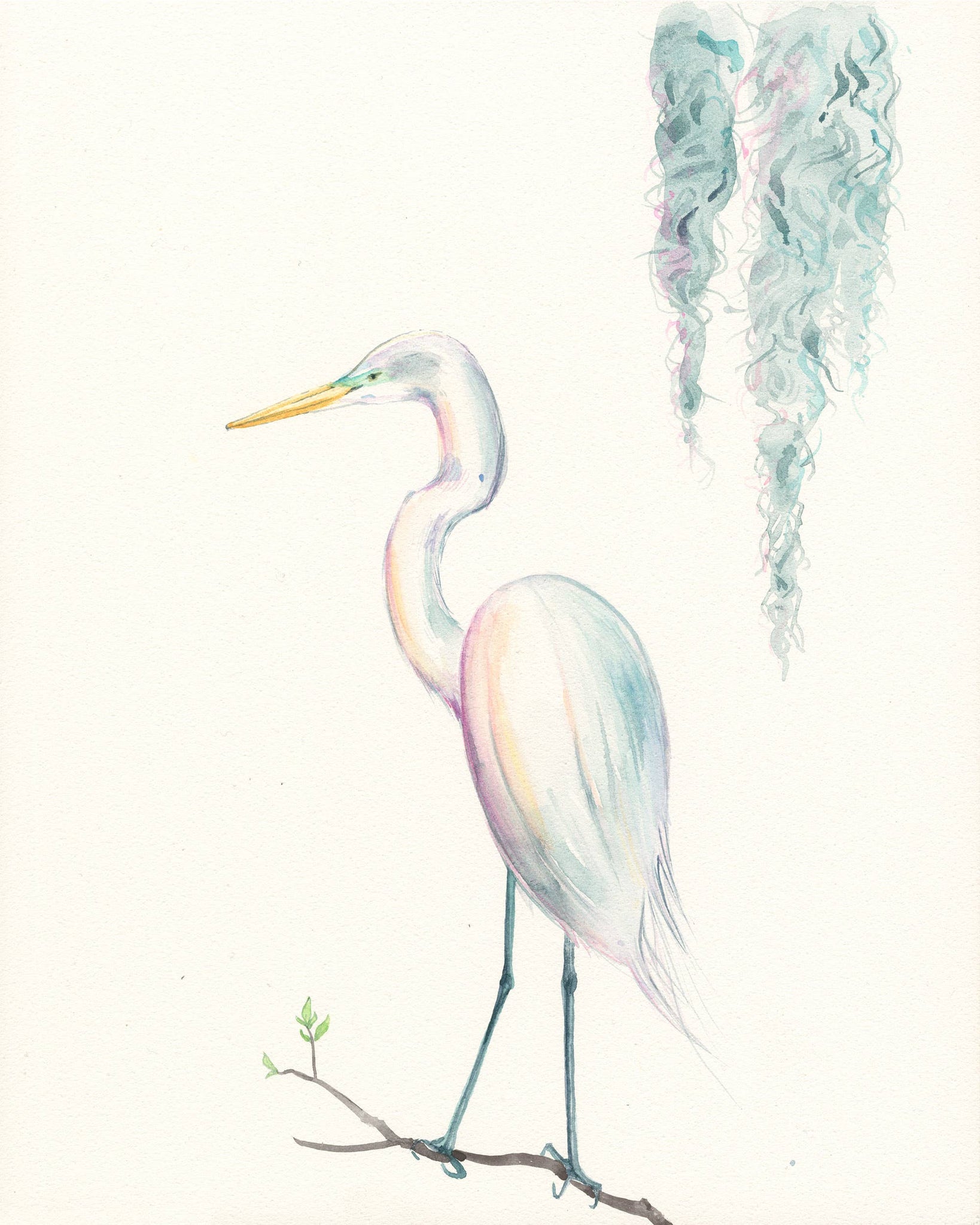 "Spring Egret" Watercolor Fine Art Print by Lyla Clayre